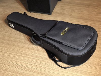 Martin GPC-16E Rosewood