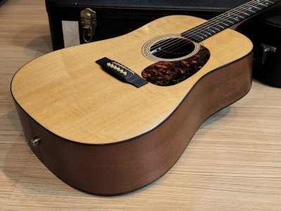 Martin D-1GT