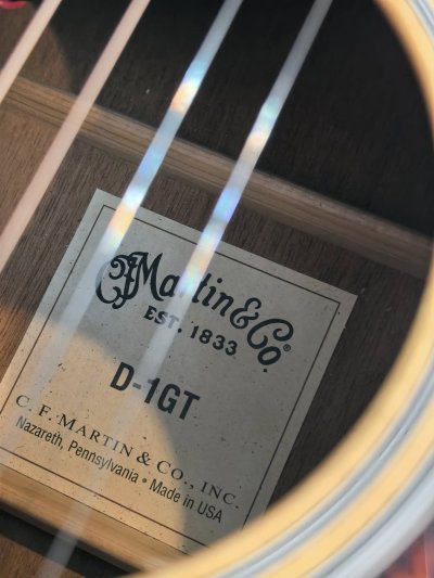 Martin D-1GT