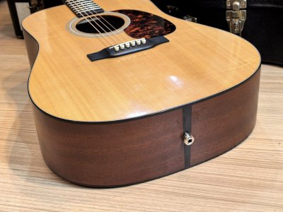 Martin D-1GT