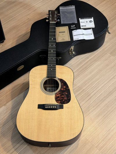 Martin D-1GT