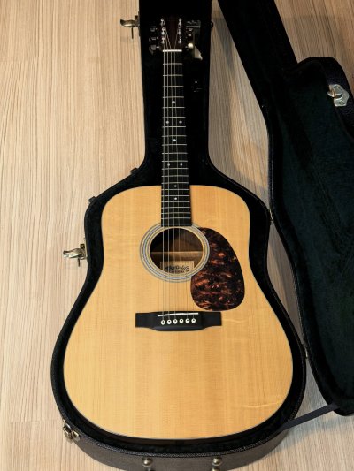 Martin D-1GT
