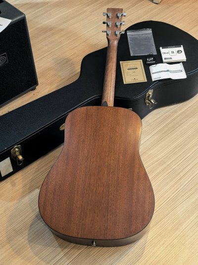 Martin D-1GT