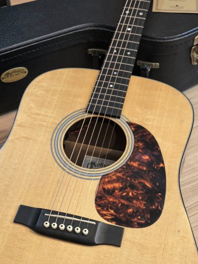 Martin D-1GT