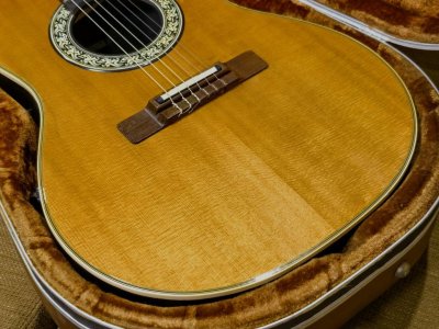 Ovation No.1624
