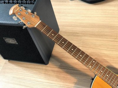 Ovation 1981 Standard Balladeer