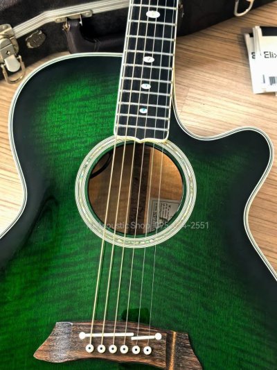 Takamine NPT-115