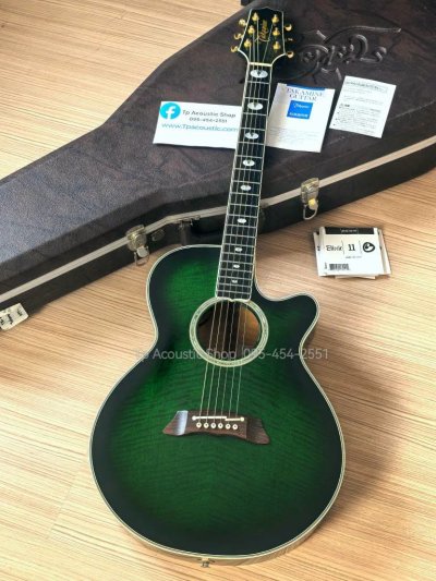 Takamine NPT-115