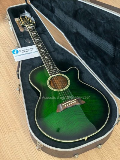 Takamine NPT-115