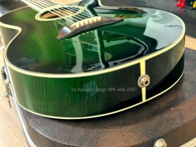 Takamine NPT-115