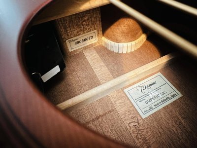 Takamine DMP -051C SAS