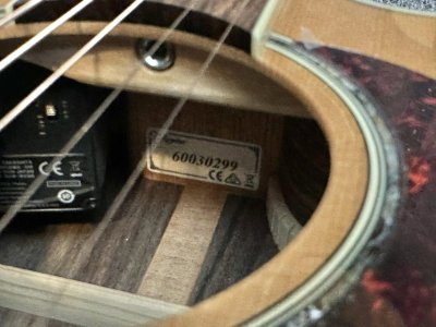 Takamine DMP-761C N