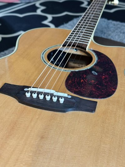 Takamine DMP-761C N
