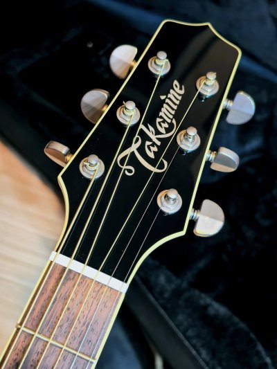 Takamine FPT-861C BL