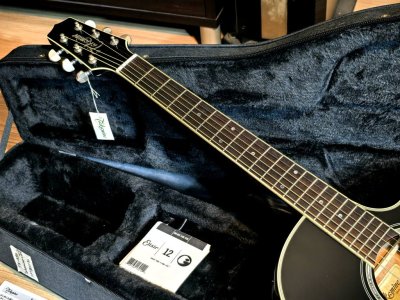Takamine FPT-861C BL