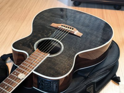 Takamine TDP-70S SBN