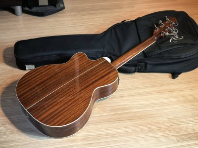 Takamine TDP-70S SBN