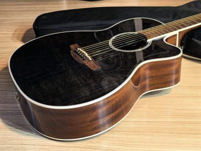 Takamine TDP-70S SBN