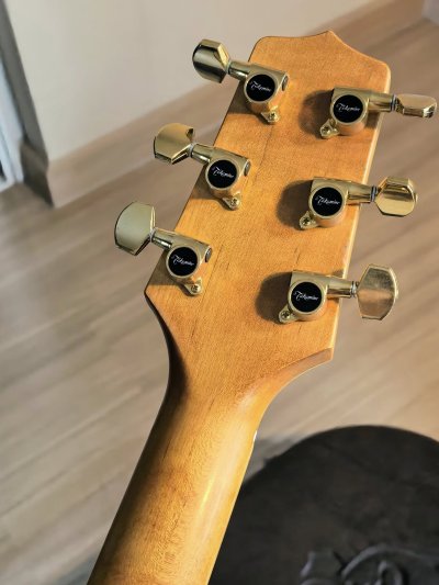 Takamine DSP-530VN