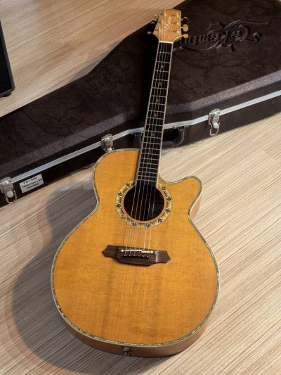 Takamine DSP-530VN