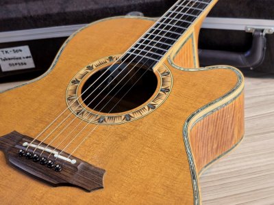Takamine DSP-530VN