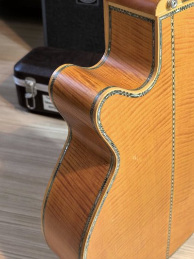 Takamine DSP-530VN