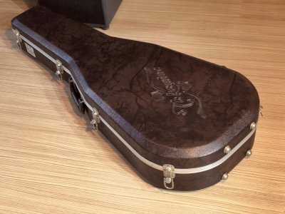 Takamine DSP-530VN