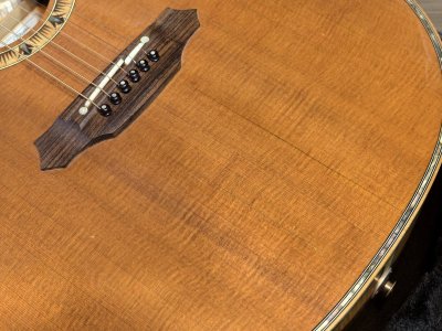 Takamine DSP-530VN