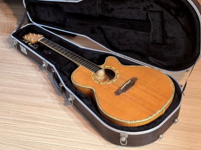 Takamine DSP-530VN