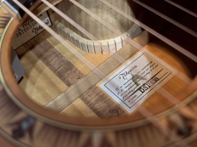 Takamine DSP-530VN