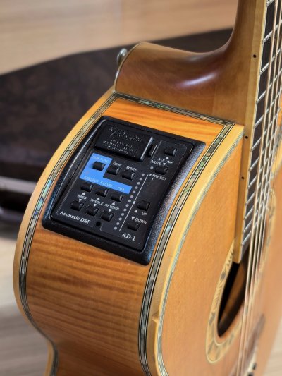 Takamine DSP-530VN