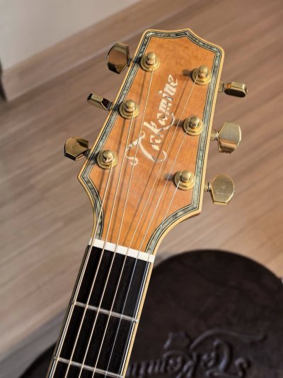 Takamine DSP-530VN