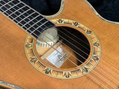 Takamine DSP-530VN