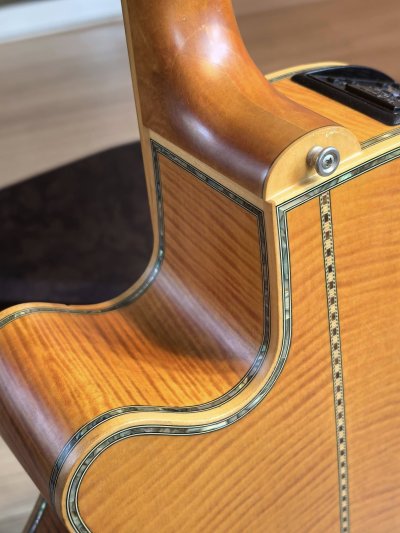 Takamine DSP-530VN