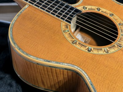 Takamine DSP-530VN