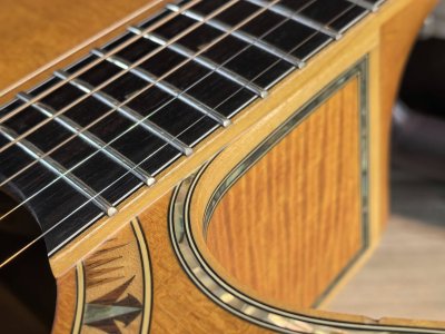 Takamine DSP-530VN