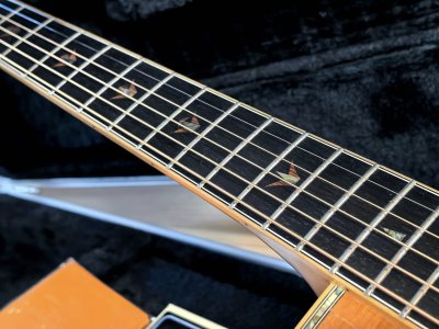 Takamine DSP-530VN
