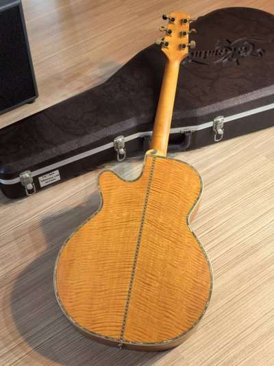 Takamine DSP-530VN