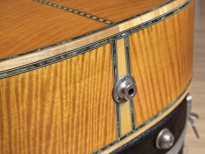 Takamine DSP-530VN