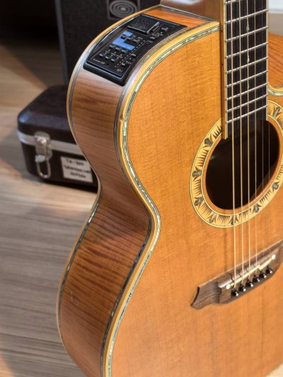 Takamine DSP-530VN