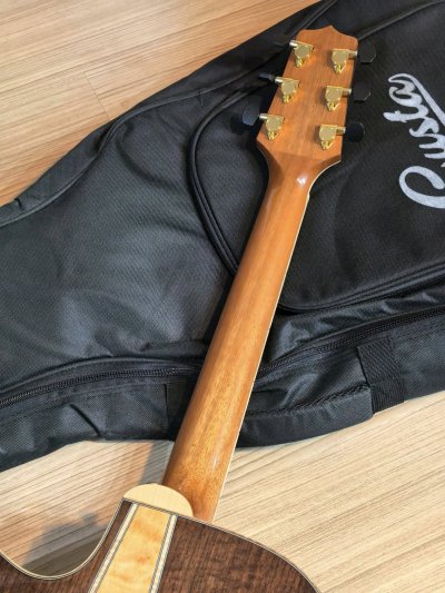 Takamine GD-93CE net