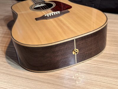 Takamine GD-93CE net
