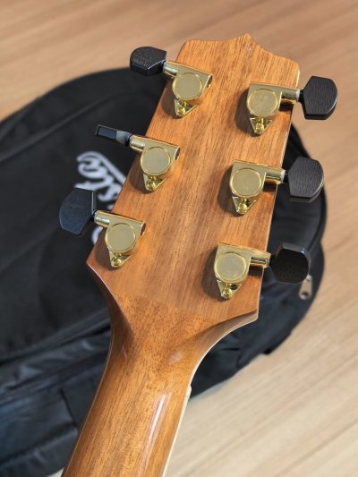 Takamine GD-93CE net