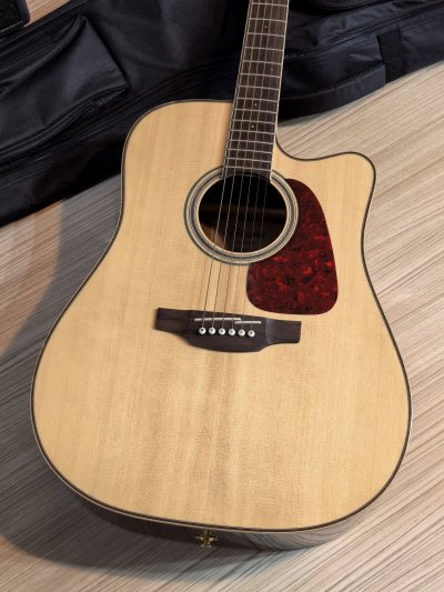 Takamine GD-93CE net