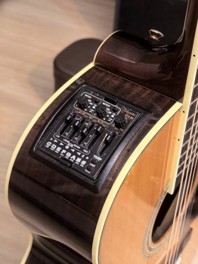 Takamine DMP-50S