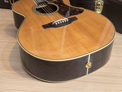 Takamine DMP-50S