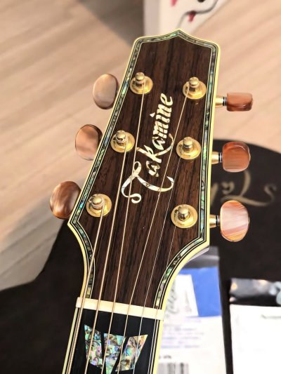 Takamine DSP-500VTS