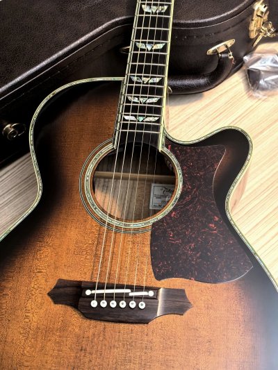 Takamine DSP-500VTS