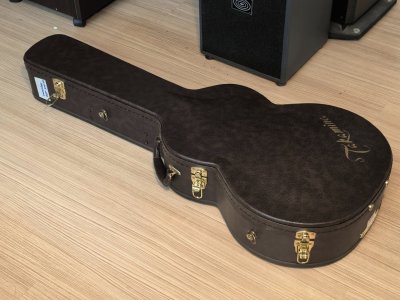 Takamine DSP-500VTS