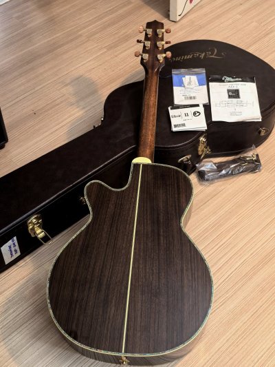 Takamine DSP-500VTS
